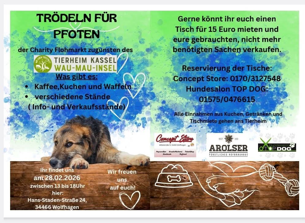 Trödeln für Pfoten